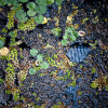 Rock Bottom by stalker_d90 on flickr
